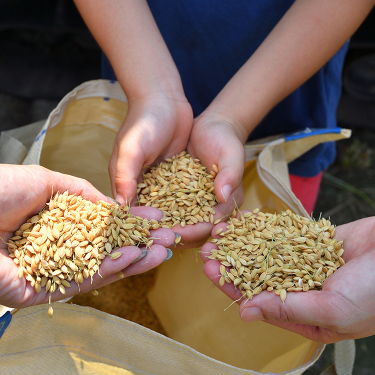 未来につながる体験農園。土に触れ、自然を感じ、いろんな年代の人と交流し、美味しいを共有する農体験をご提供します。